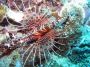07Moorea - 19